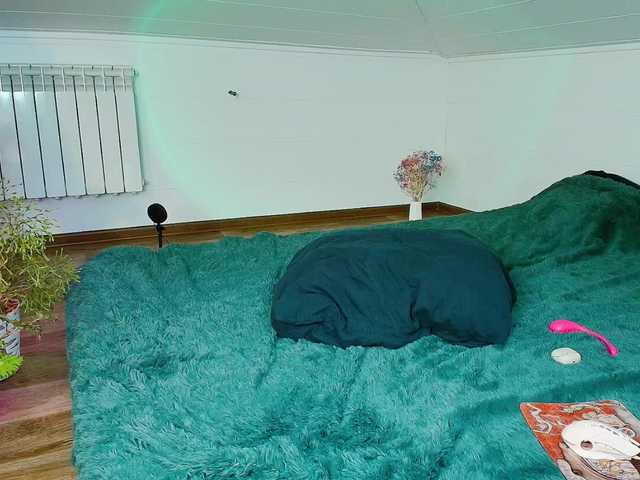  MeowRoslavaa chat room