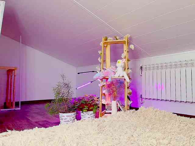 MeowRoslavaa MeowRoslavaa