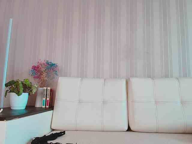 MeowRoslava webcam