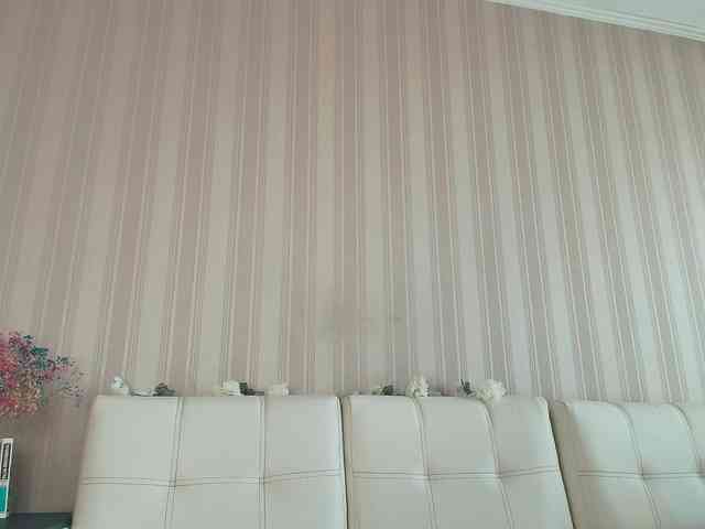 MeowRoslava webcam