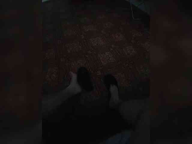 Max-1990-1 Max-1990-1