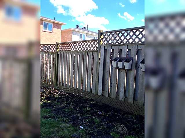 BaditaLuna's BongaCams show and profile