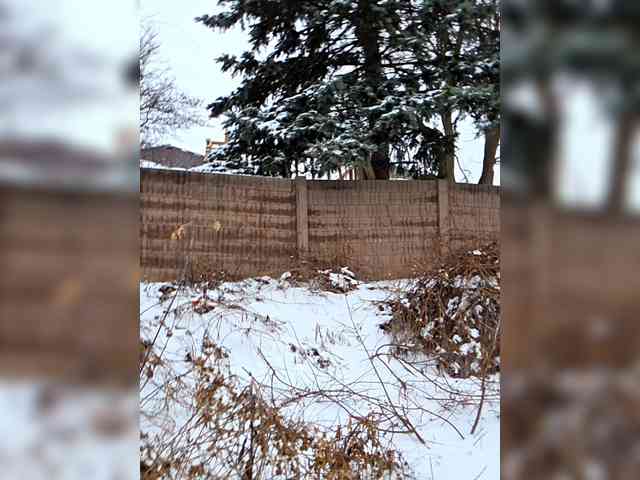 BaditaLuna BaditaLuna