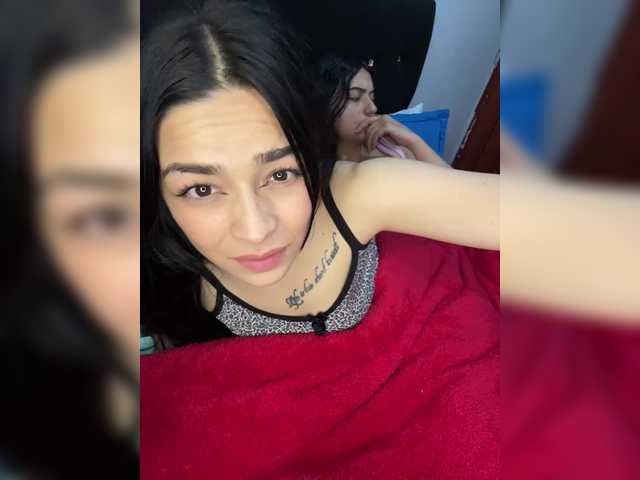 Majo-melisa