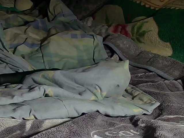 Elith20's BongaCams show and profile