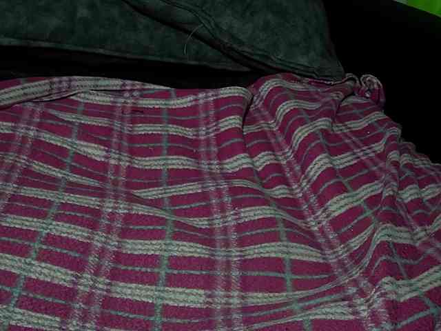 Elith20 Live Webcam on BongaCams