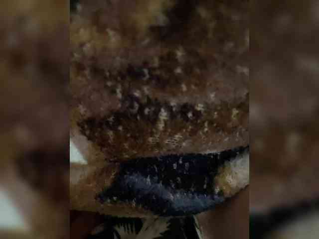 Make-it-nasty Make-it-nasty