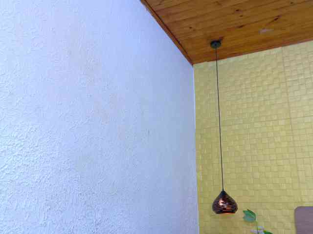 sweet-dani18 webcam