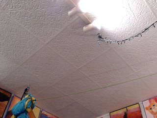 kellysurfing Porn Show