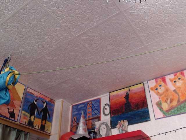 kellysurfing's BongaCams show and profile