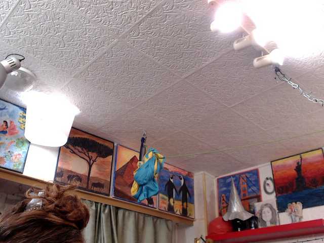 Preview of kellysurfing