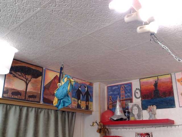 kellysurfing's BongaCams show and profile