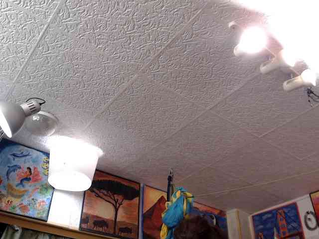 kellysurfing Live Webcam on BongaCams