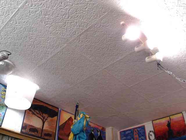 kellysurfing Live Webcam on BongaCams