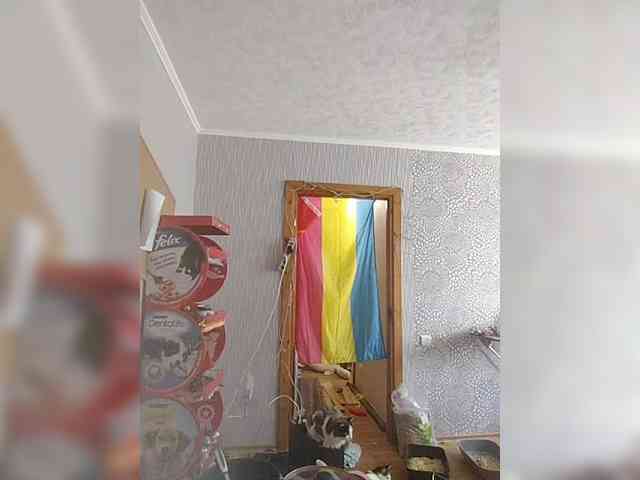 AkerleyAl webcam