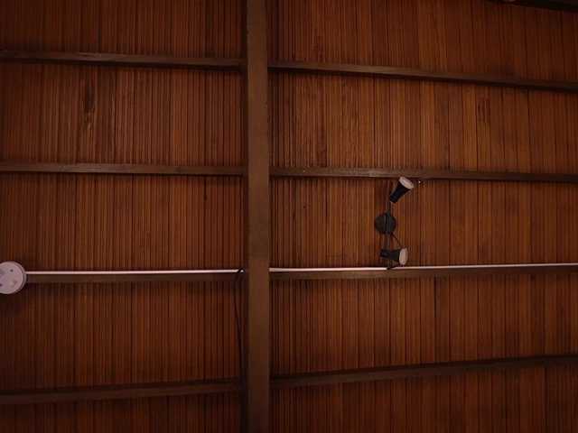 IzzyWild's BongaCams show and profile