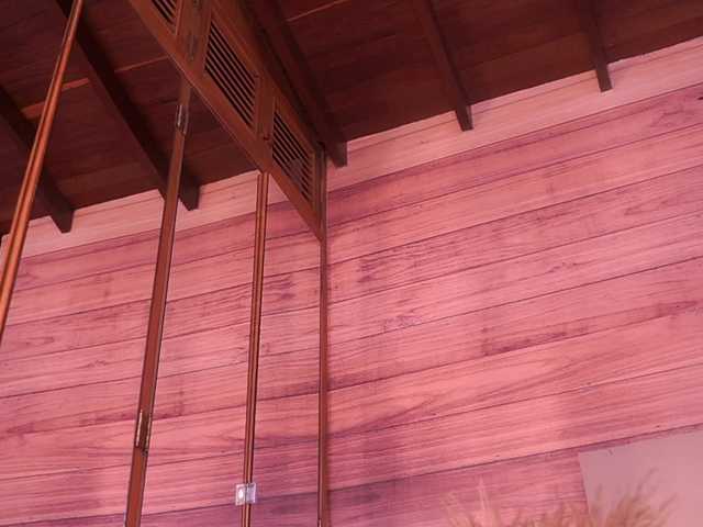 IzzyWild's BongaCams show and profile