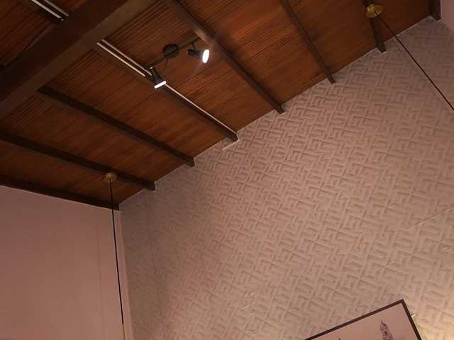 IzzyWild from BongaCams is Freechat