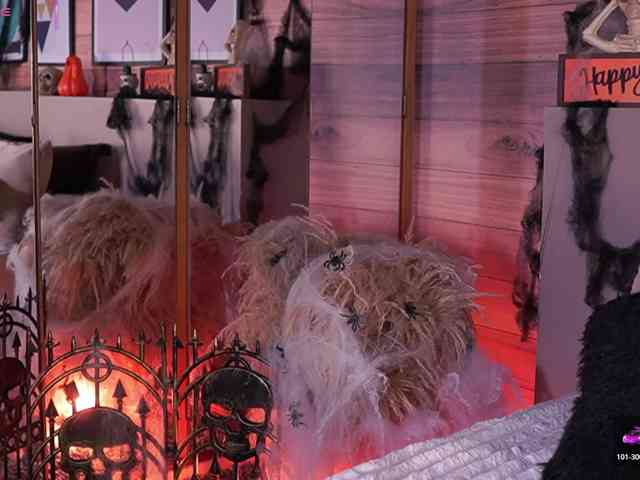 IzzyWild webcam