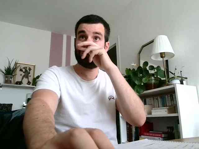 Simon-Tem