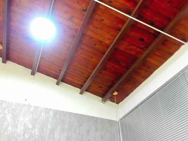 lissa-jhonson webcam