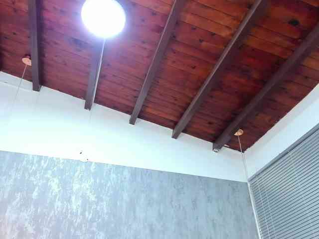 lissa-jhonson webcam