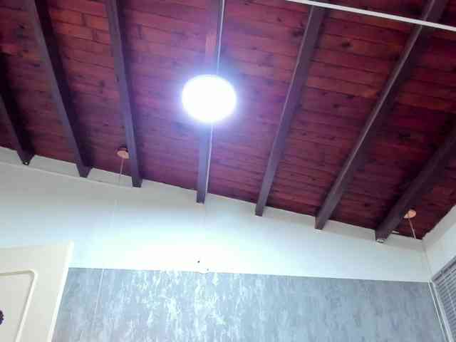 lissa-jhonson webcam