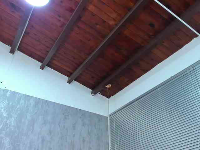 lissa-jhonson lissa-jhonson