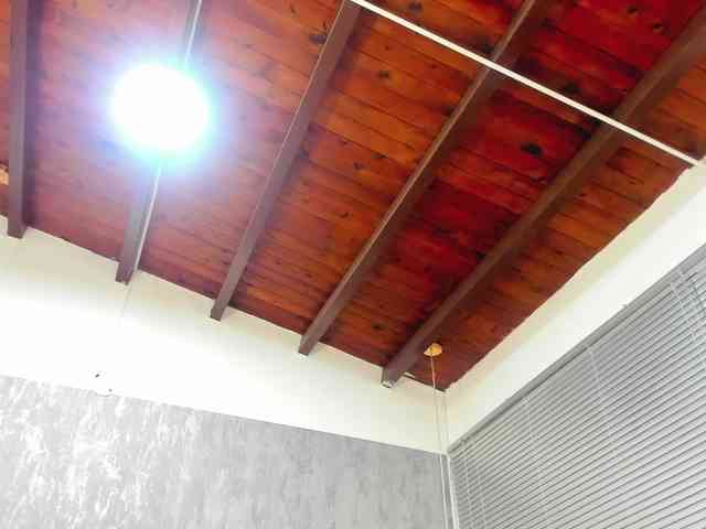 lissa-jhonson webcam