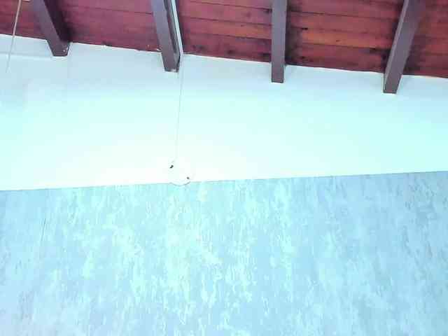 lissa-jhonson lissa-jhonson