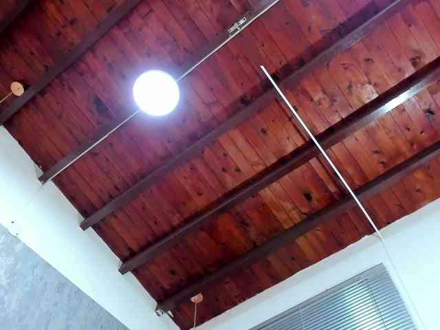 lissa-jhonson webcam