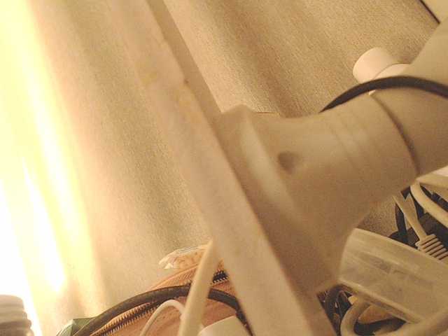 luvlily666's BongaCams show and profile