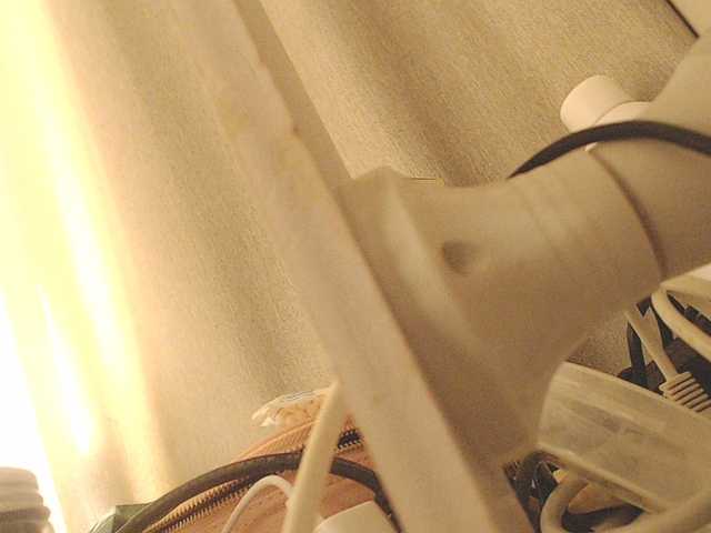 luvlily666's BongaCams show and profile