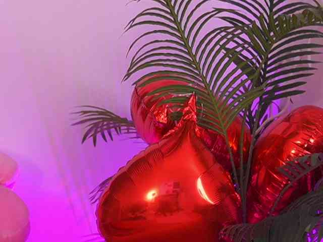 TheFallingAngel webcam