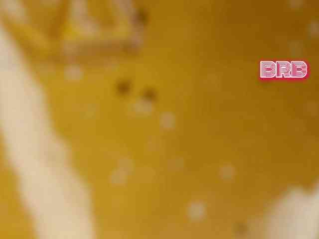 MiaVebes webcam
