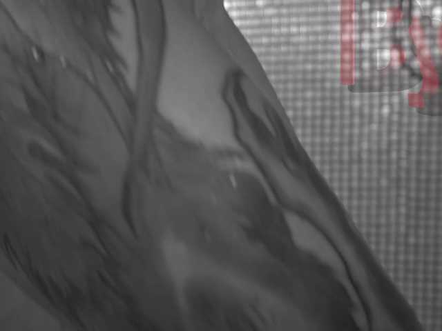 QueenAfina's BongaCams show and profile