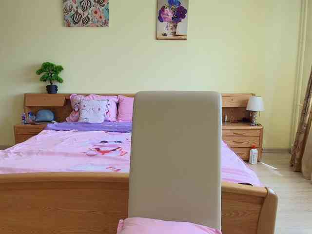 Zaccada webcam