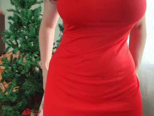 Zaccada webcam