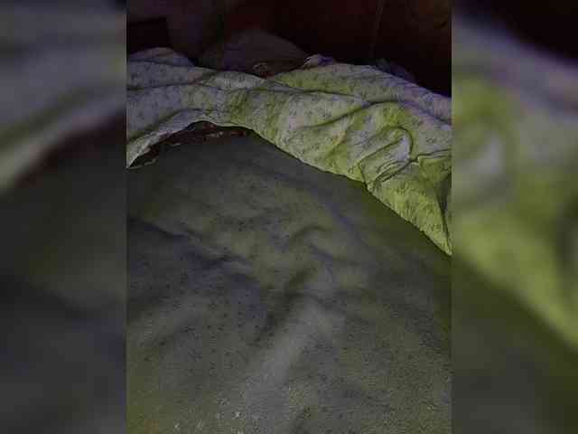 DakotaRose DakotaRose