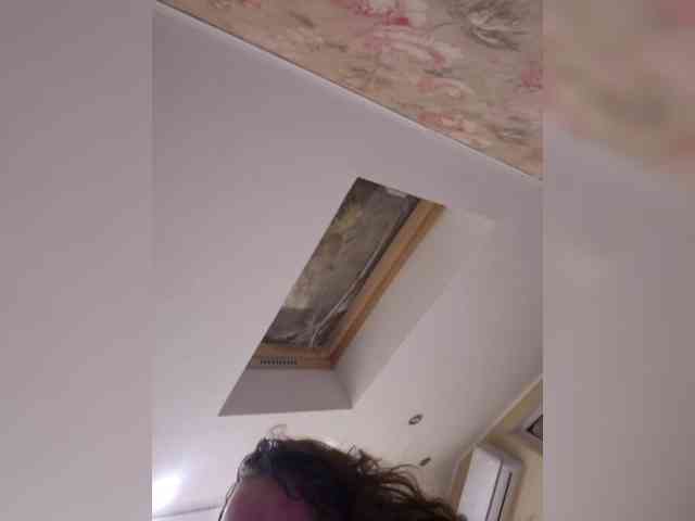 _exyqnsis_19 webcam