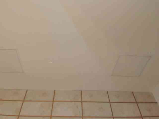 SpicyEla webcam