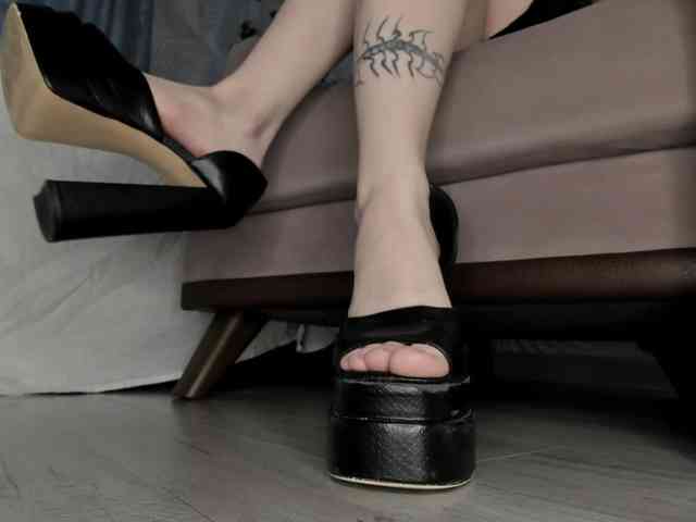 Holy-Silvia webcam