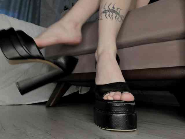 Holy-Silvia webcam