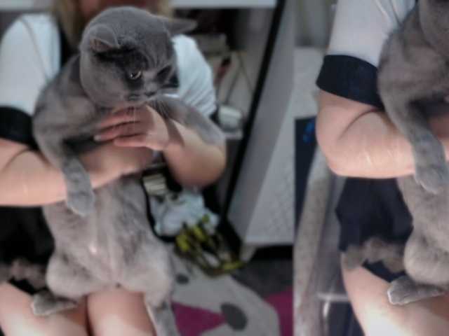 Profile and Statistics for Bisexyeliz35 on BongaCams