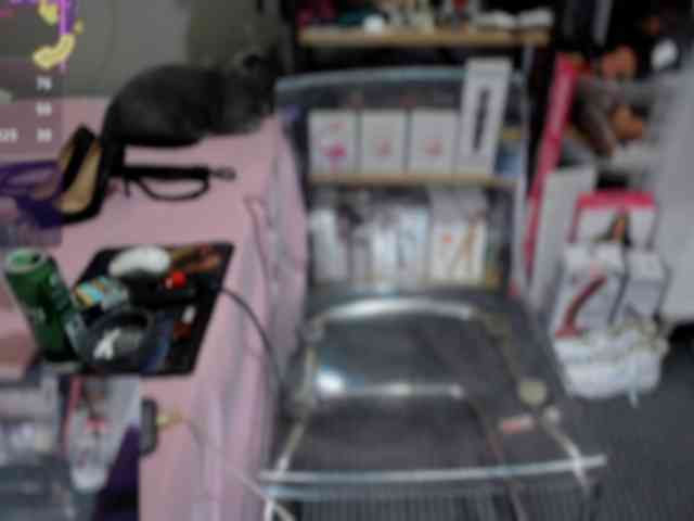 Bisexyeliz35 Bisexyeliz35