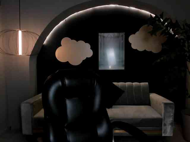 AnaisNin1 webcam