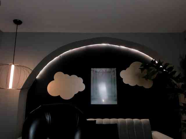 AnaisNin1 webcam