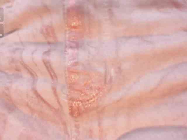 HannaConnor webcam