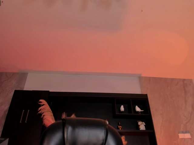 ViolettHansson's BongaCams show and profile