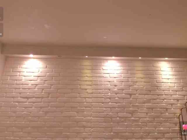 ViolettHansson webcam